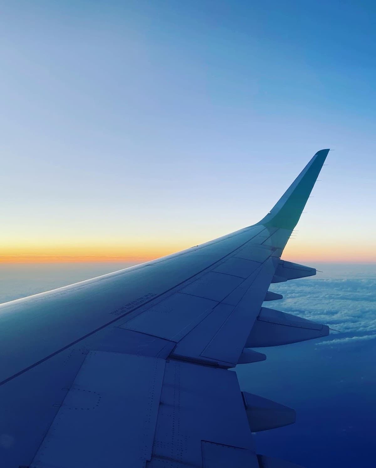 Vueling voucher