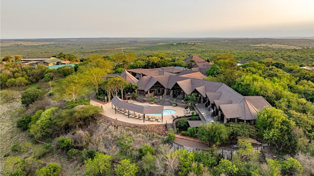 Zulu Nyala